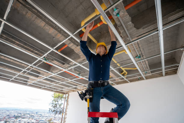 Best Plumbing Repair Near Me  in Savannah, MO