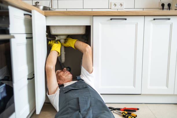 Best Clogged Drain Plumber  in Savannah, MO