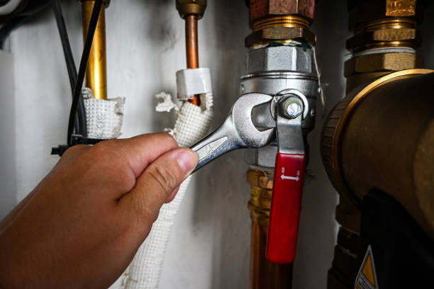 Best Drain Cleaning Services  in Savannah, MO